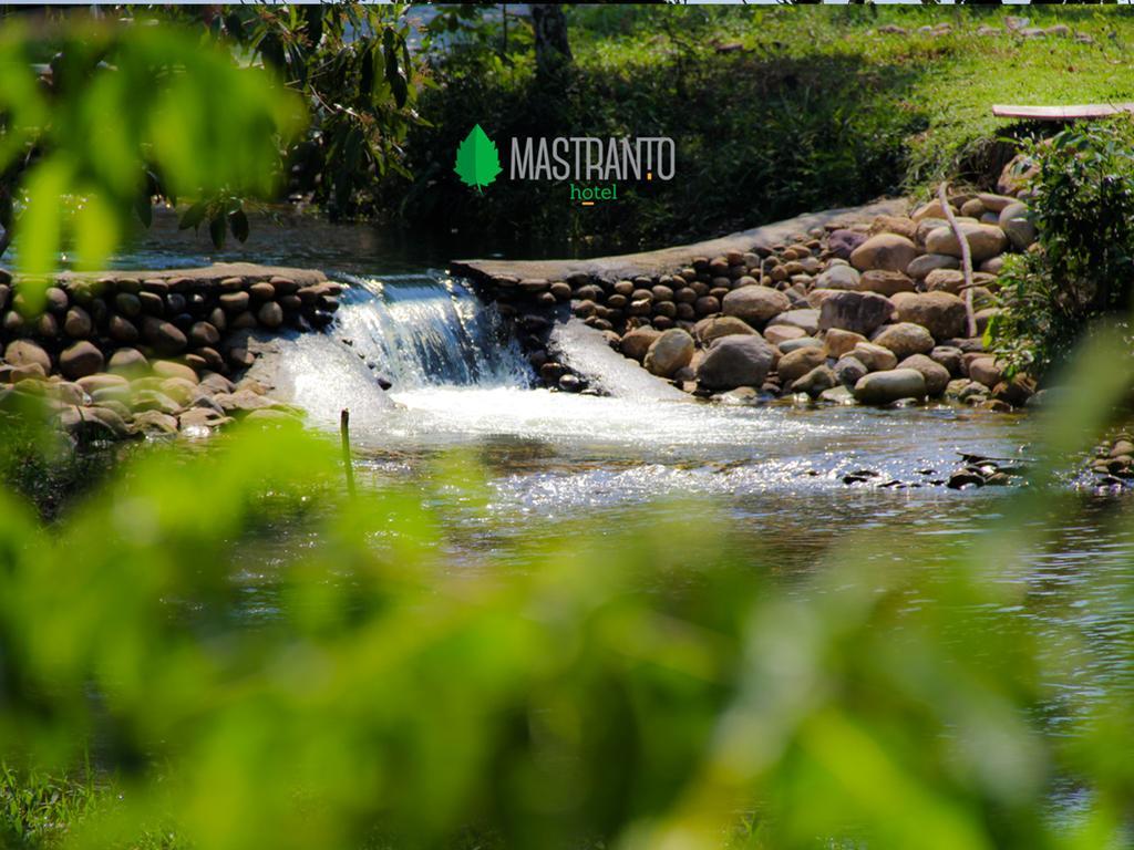 Hotel Campestre Mastranto 비야비센시오 외부 사진